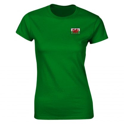 Wales Flag Logo Adult - Image 26