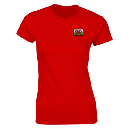 Wales Flag Logo Adult - Image 24