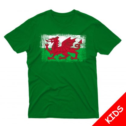 Wales Flag Kids - Image 5