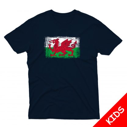 Wales Flag Kids - Image 4
