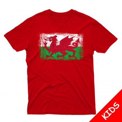 Wales Flag Kids