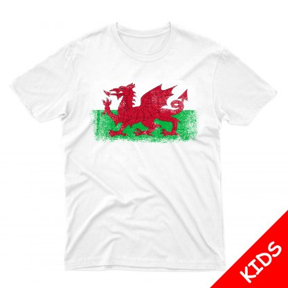 Wales Flag Kids - Image 2