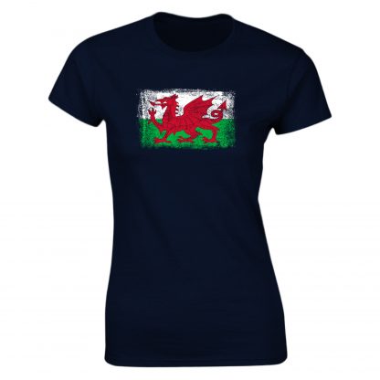 Wales Flag Adult - Image 25
