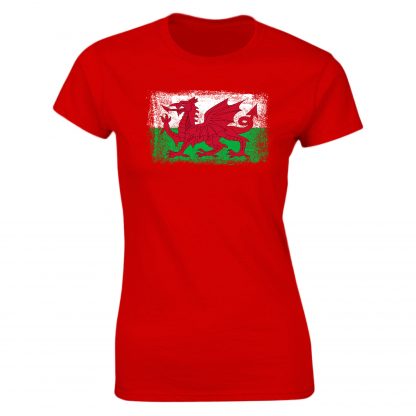 Wales Flag Adult - Image 24