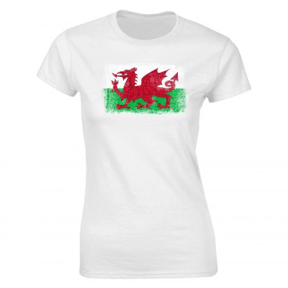 Wales Flag Adult - Image 23