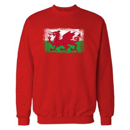 Wales Flag Adult - Image 14