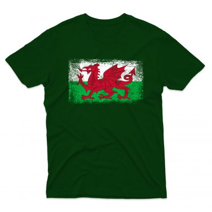 Wales Flag Adult - Image 10