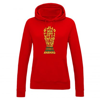 Hen Wlad Fy Nhadau Adult - Image 13