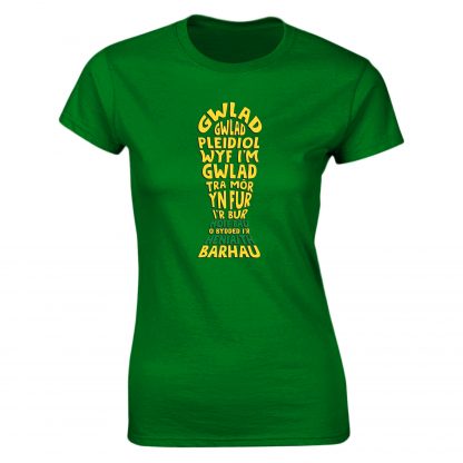 Hen Wlad Fy Nhadau Adult - Image 11