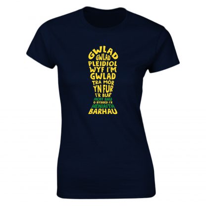 Hen Wlad Fy Nhadau Adult - Image 10