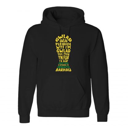 Hen Wlad Fy Nhadau Adult - Image 7