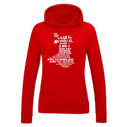 Mae Hen Wlad Fy Nhadau Adult - Image 20