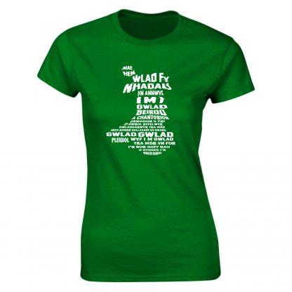 Mae Hen Wlad Fy Nhadau Adult - Image 18