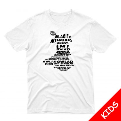 Mae Hen Wlad Fy Nhadau Kids - Image 12
