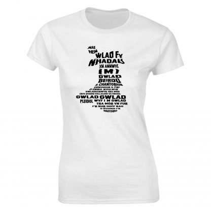 Mae Hen Wlad Fy Nhadau Adult - Image 26