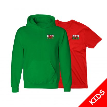 Wales Flag Logo Kids
